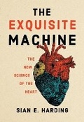 Cover: The Exquisite Machine - MIT Press
