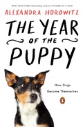 Cover: The Year of the Puppy - Viking