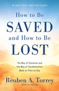 Cover: How to Be Saved and How to Be Lost - Aneko Press