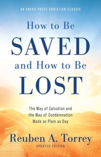 Enlarge image Cover: How to Be Saved and How to Be Lost - Aneko Press