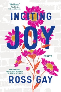 Enlarge image Cover: Inciting Joy - Algonquin Books