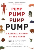 Cover: Pump - Algonquin Books