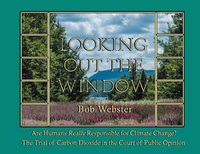 Enlarge image Cover: Looking out the Window - Page Publishing, Inc.