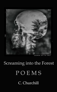 Enlarge image Cover: Screaming Into the Forest - C. Churchill