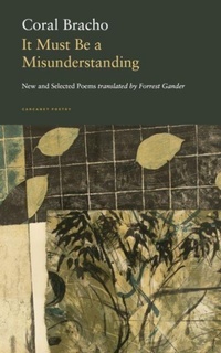 Enlarge image Cover: It Must Be a Misunderstanding - Carcanet Press Ltd