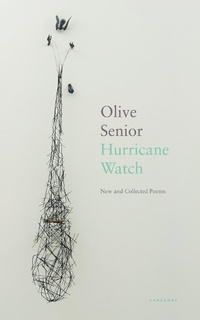 Abbildung von: Hurricane Watch - Carcanet Poetry