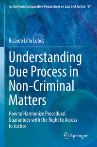 Abbildung von: Understanding Due Process in Non-Criminal Matters - Springer