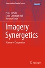 Cover: Imagery Synergetics - Springer