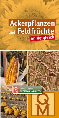 Abbildung von: Ackerpflanzen und Feldfrüchte - Quelle & Meyer