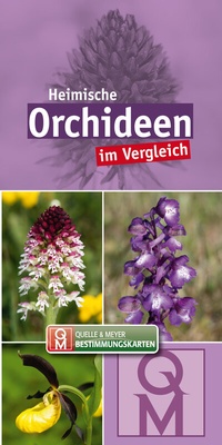 Abbildung von: Heimische Orchideen - Quelle & Meyer