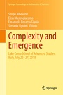 Cover: Complexity and Emergence - Springer
