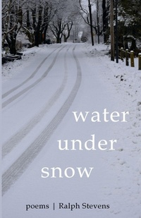 Abbildung von: Water Under Snow - Resource Publications (CA)