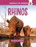 Cover: Rhinos - Hungry Tomato