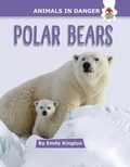 Cover: Polar Bears - Hungry Tomato