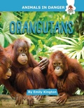 Cover: Orangutans - Hungry Tomato