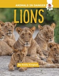 Cover: Lions - Hungry Tomato
