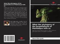 Abbildung von: What the phylogeny of the herpetofauna of Martinique tells us - Our Knowledge Publishing