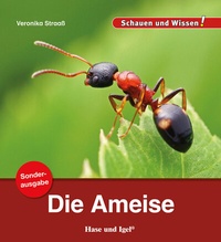 Abbildung von: Die Ameise / Sonderausgabe - Hase und Igel Verlag