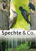 Cover: Spechte & Co. - AULA-Verlag
