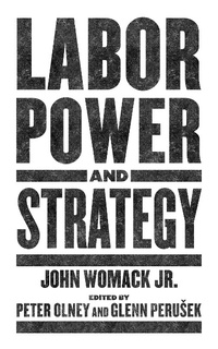 Enlarge image Cover: Labor Power and Strategy - PM Press