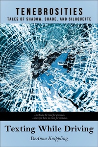 Enlarge image Cover: Texting While Driving - Wonderland Press