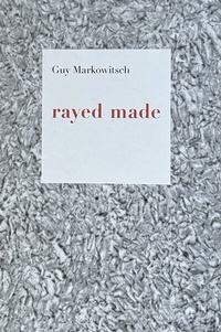 Enlarge image Cover: rayed made - Edizioni Periferia