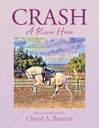 Abbildung von: Crash - Page Publishing, Inc.