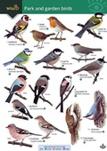 Cover: Park and garden birds - Field Studies Council