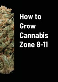 Cover: How to Grow Cannabis Zone 8-11 - Lulu.com