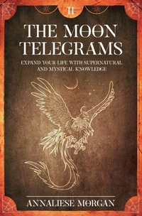 Enlarge image Cover: The Moon Telegrams Volume Two - Black Daisy Press