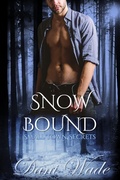 Cover: Snow Bound (Small Town Secrets, #3) - Dani Wade