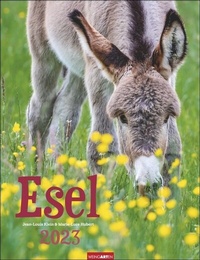 Abbildung von: Esel-Kalender 2023. Jahres-Wandkalender 2023 mit Fotos von Jean-Louis Klein und Marie-Luce Hubert. Tierkalender mit süßen Eselfotos. Planer mit Platz zum Eintragen. Hochformat 30x39 cm - Weingarten