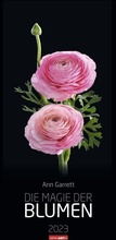 Cover: Die Magie der Blumen Kalender 2023. Langer Wandkalender mit farbenpr&auml;chtigen Blumen-Fotos. Dekorativer XXL Kalender mit beeindruckenden Bl&uuml;ten. 33x68 cm - Weingarten