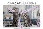 Bild: Whiskas Katzenkalender 2023. Foto-Wandkalender mit s&uuml;&szlig;en Katzen und lustigen Geschichten. Wandkalender 2023 in sch&ouml;nem Design. Bildkalender 2023 Querformat 45x30 cm. - Heye