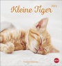 Bild: Katzen - Kleine Tiger Postkartenkalender 2023. Entzückende Katzenkinder in einem kleinen Kalender zum Aufhängen oder Aufstellen. Tierischer Postkarten-Fotokalender für Katzenfans. - Heye