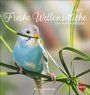 Bild: Freche Wellensittiche Postkartenkalender 2023 von Monika Wegler. Die bunten Vögel in einem kleinen Kalender zum Aufstellen und Aufhängen. Perforierter Postkarten-Fotokalender. - Heye
