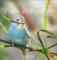 Bild vergrößern Bild: Freche Wellensittiche Postkartenkalender 2023 von Monika Wegler. Die bunten Vögel in einem kleinen Kalender zum Aufstellen und Aufhängen. Perforierter Postkarten-Fotokalender. - Heye