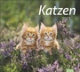 Bild: Katzen Bildkalender 2023. S&uuml;&szlig;e Samtpfoten im gro&szlig;en Wandkalender 2023. Kalender f&uuml;r Katzenfans - jeden Monat ein Hingucker. Hochwertiger Fotokalender im Gro&szlig;format. - Heye