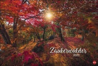 Bild vergrößern Bild: Zauberwälder Edition Kalender 2023. Wandkalender XXL mit Fotos verwunschener Wälder und Lichtungen. Kalender Großformat mit hochwertigen und geheimnisvollen Fotos. - Heye