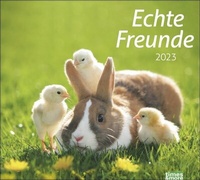 Abbildung von: Echte Freunde Bildkalender 2023. Süße Tierfreundschaften in einem Kalender Großformat. Hochwertiger Fotokalender für Tierfreunde. Großer Wandkalender im Querformat. - Heye