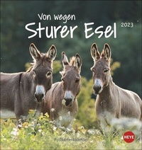 Abbildung von: Esel - Von wegen sturer Esel Postkartenkalender 2023. Kleiner Kalender zum Aufstellen und Aufhängen im Postkartenformat. Monats-Tischkalender für Tierfreunde. - Heye