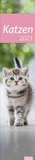Bild: Katzen Langplaner 2023. Immer alle Termine im Blick mit dem Streifen-Kalender für Büro und Zuhause. Süße Katzenfotos in einem praktischen Terminplaner. - Heye
