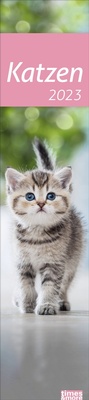 Bild vergrößern Bild: Katzen Langplaner 2023. Immer alle Termine im Blick mit dem Streifen-Kalender für Büro und Zuhause. Süße Katzenfotos in einem praktischen Terminplaner. - Heye
