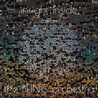 Enlarge image Cover: INSIGHT INSIDE - CODAMUSIC