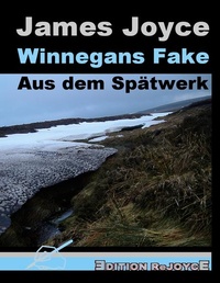 Enlarge image Cover: Winnegans Fake - Edition Rejoyce