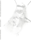 Cover: Raqs Media Collective. Hungry for Time - Spector Books