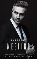 Cover: Indecent Meeting - Yolanda Olson