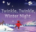 Cover: Twinkle, Twinkle, Winter Night - Clarion Books