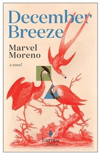 Abbildung von: December Breeze - Europa Editions