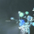 Cover: Untitled (Luzern) - EUPHORIUM